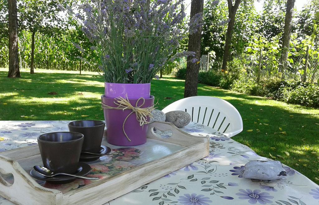 B&B Borgo Arcadia Poiana Maggiore Экстерьер фото